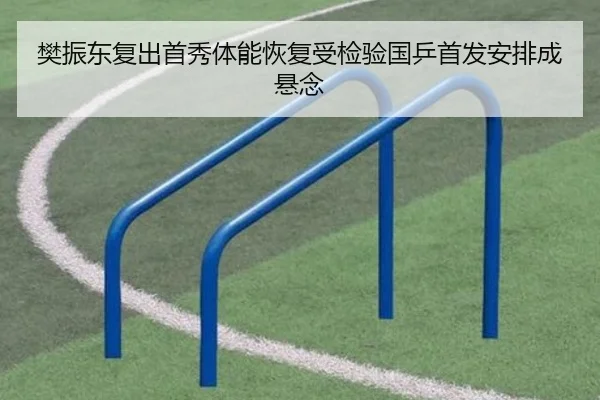 樊振东复出首秀体能恢复受检验国乒首发安排成悬念